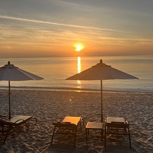 Anavana Guest Reviewer Romy G's Avatar