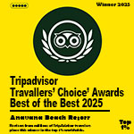 Tripadvisor Travelers' Choice Award logo